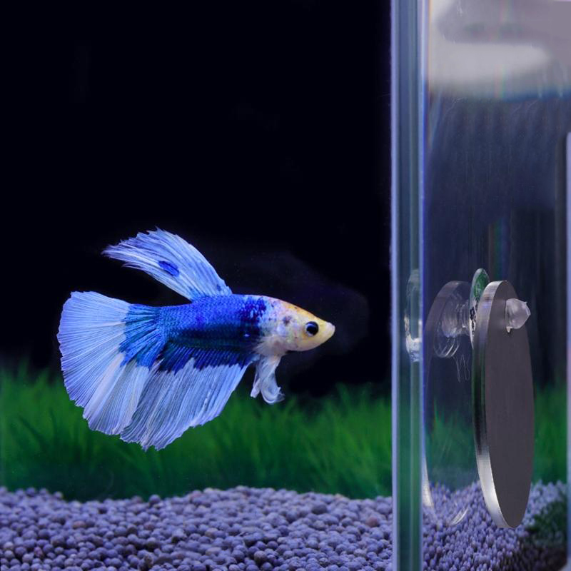 Aquarium Betta Mirror Fish Tan - Aquarium Fish Escape 评论和价格