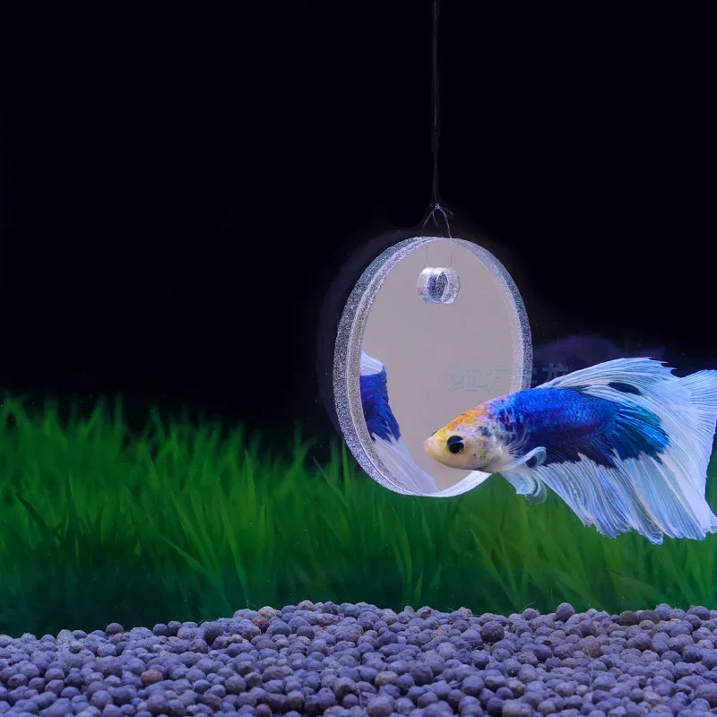Aquarium Betta Mirror Fish Tan - Aquarium Fish Escape 评论和价格