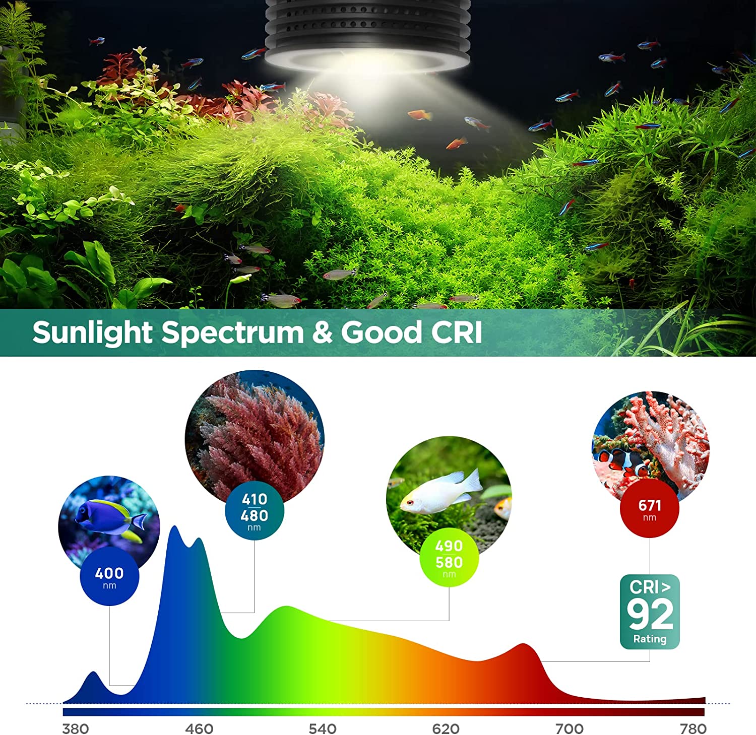 Lominie Asta 20 Freshwater 18W - Refugium Light Nano 评论和价格