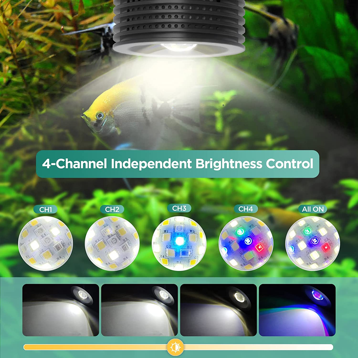 Lominie Asta 20 Freshwater 18W - Refugium Light Nano 评论和价格
