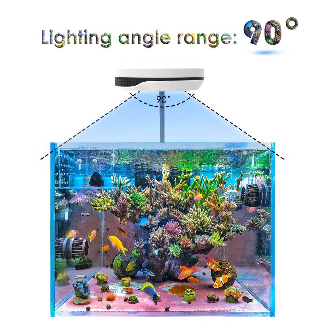Clip on 20W LED Aquarium Light - Refugium Light Nano 评论和价格