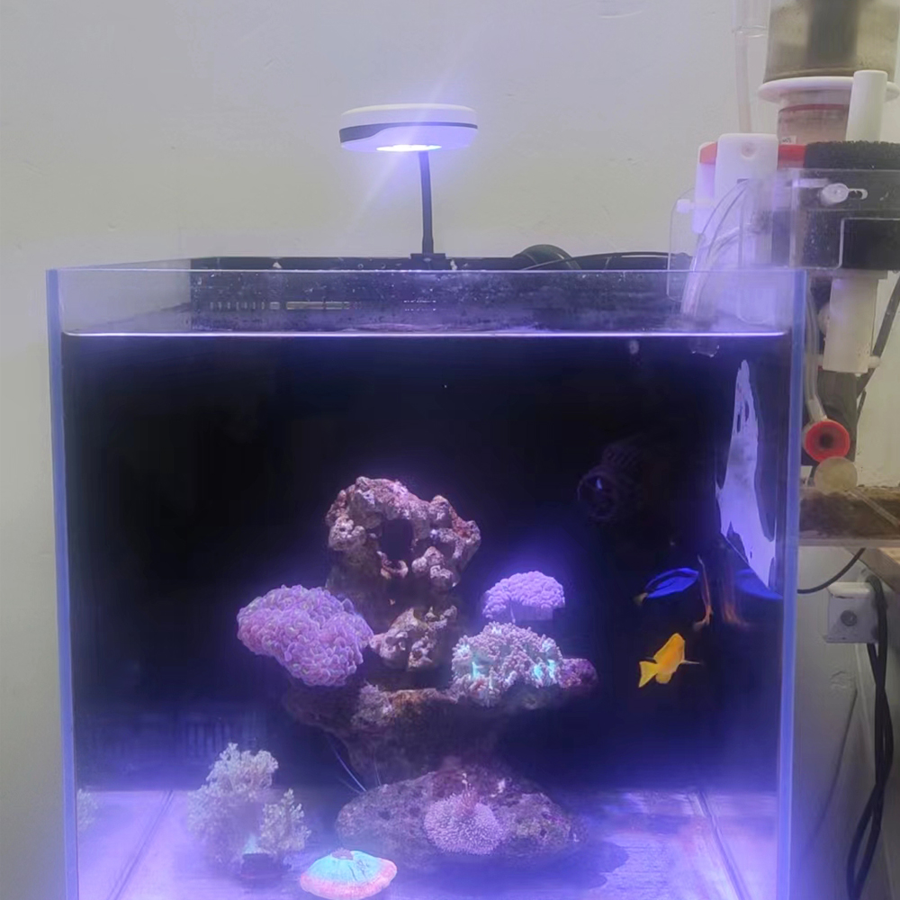 Clip on 20W LED Aquarium Light - Refugium Light Nano 评论和价格